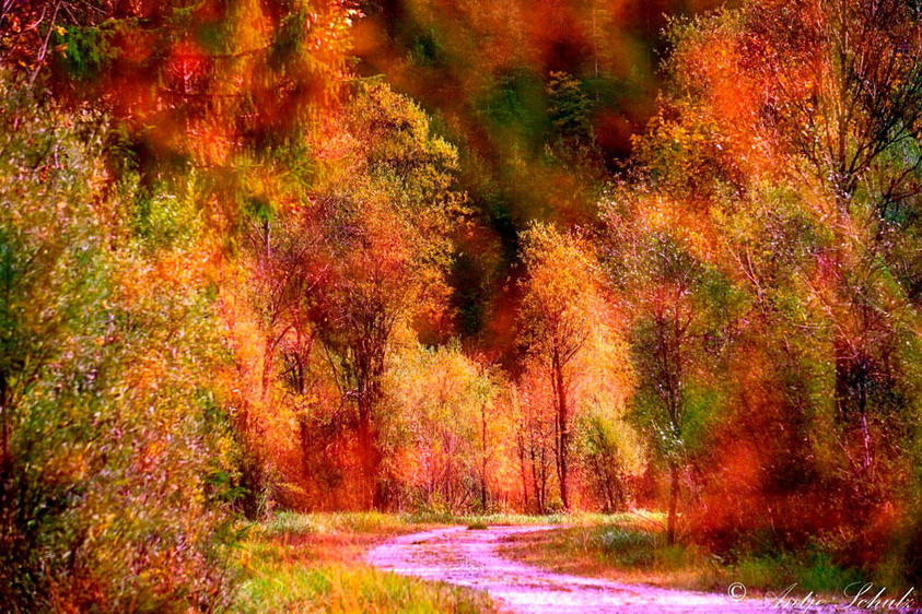 Waldweg