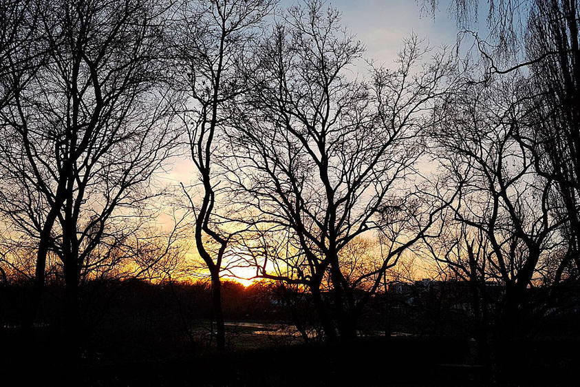 Abendstille