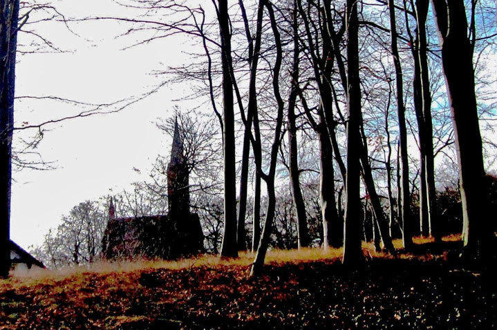 Renate Alber: Kirche im Wald