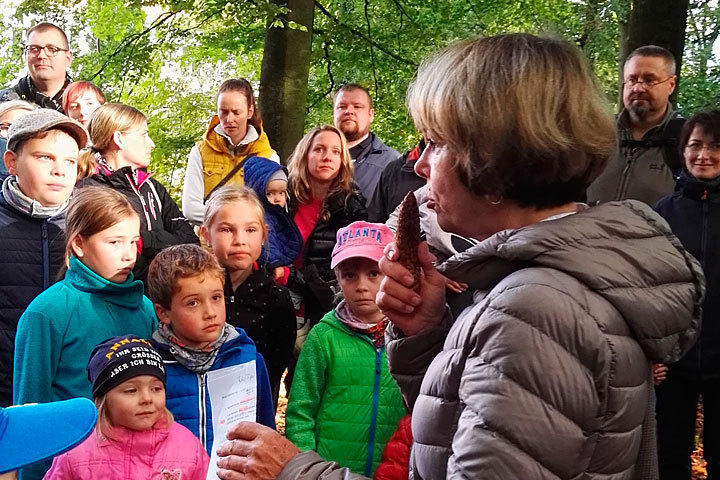 Simone Olschewski: Natur-und Heilwald 2